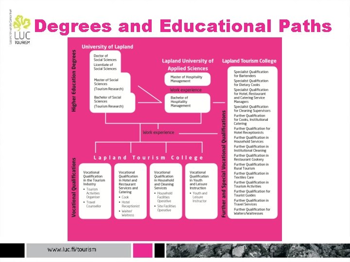 Degrees and Educational Paths 
