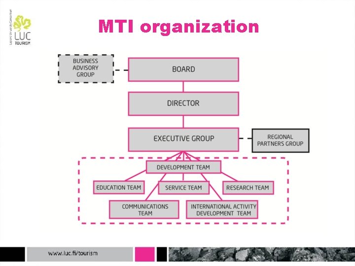 MTI organization 