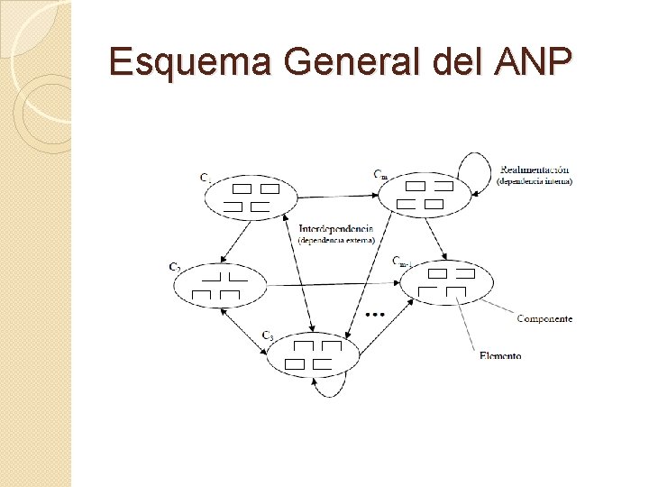 Esquema General del ANP Esquema General del ANP