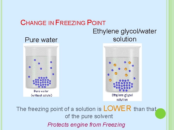 CHANGE IN FREEZING POINT Pure water Ethylene glycol/water solution The freezing point of a