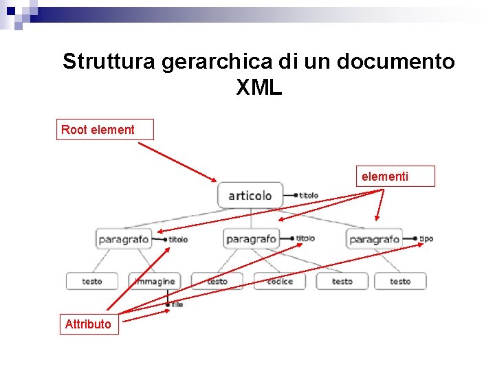 Struttura gerarchica di un documento XML Root elementi Attributo 