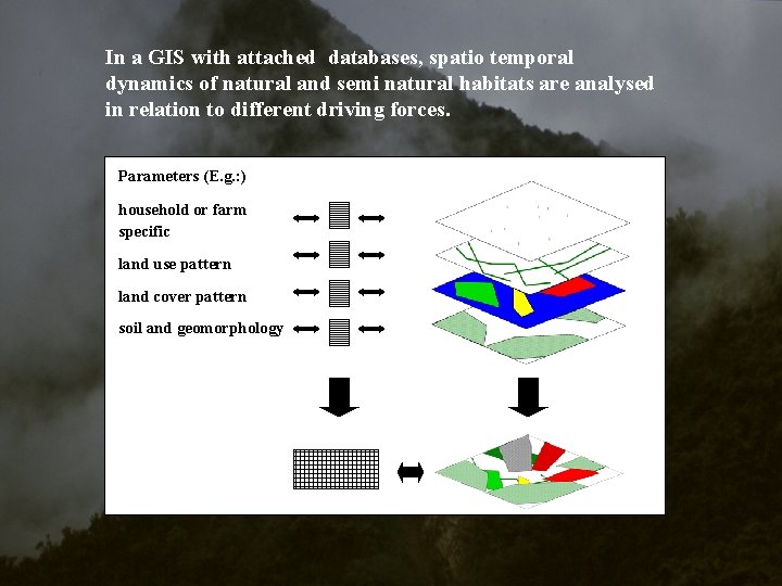 In a GIS with attached databases, spatio temporal dynamics of natural and semi natural