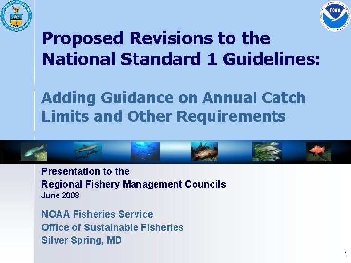 Proposed Revisions to the National Standard 1 Guidelines: Adding Guidance on Annual Catch Limits