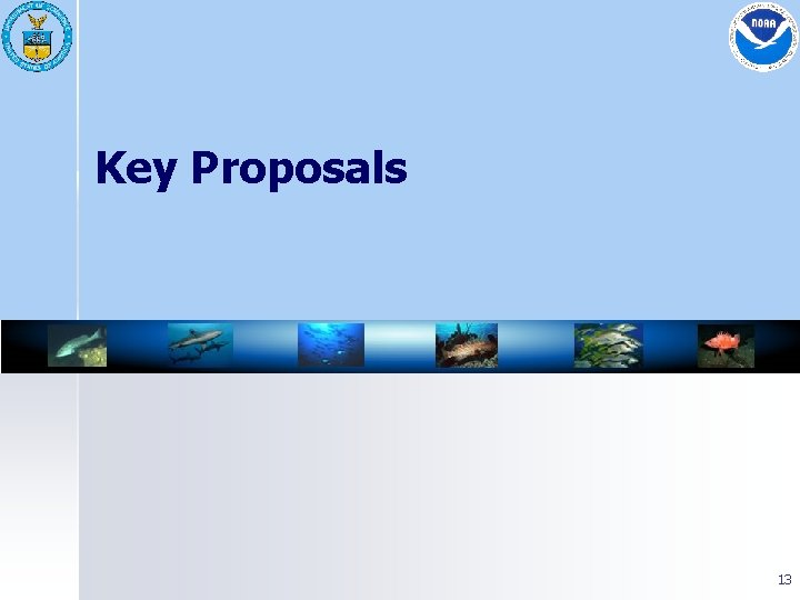 Key Proposals 13 