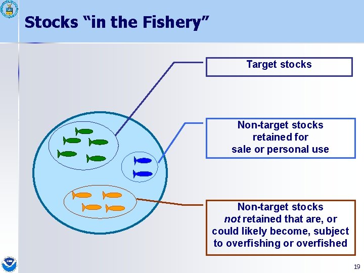 Stocks “in the Fishery” Target stocks Non-target stocks retained for sale or personal use