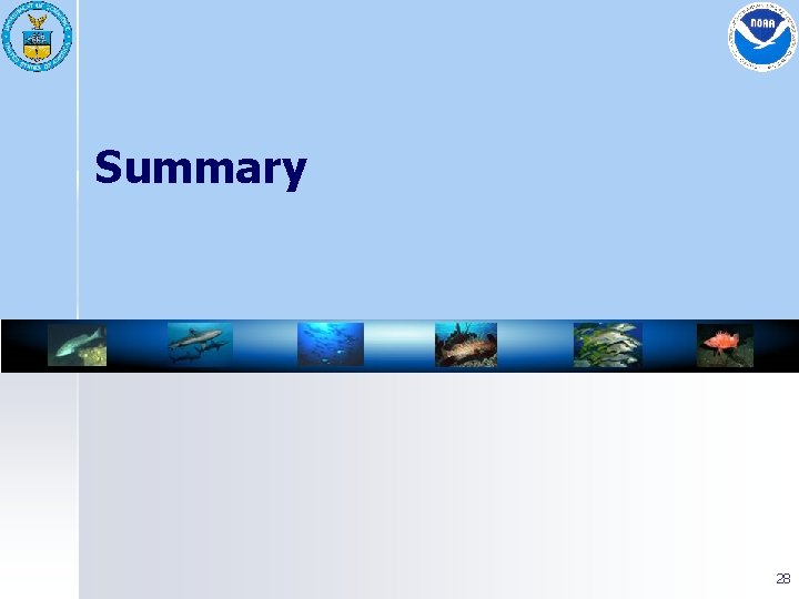 Summary 28 