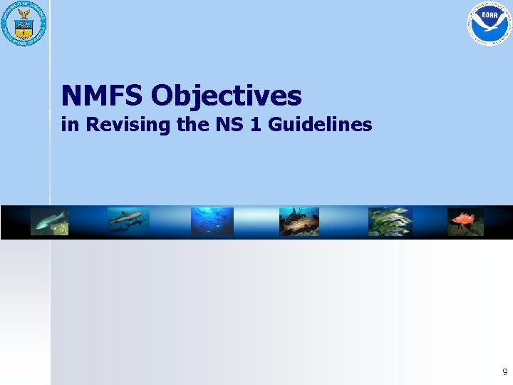 NMFS Objectives in Revising the NS 1 Guidelines 9 