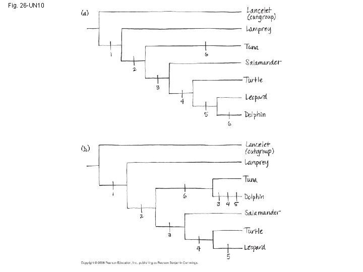 Fig. 26 -UN 10 