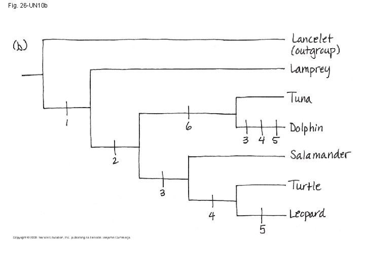 Fig. 26 -UN 10 b 