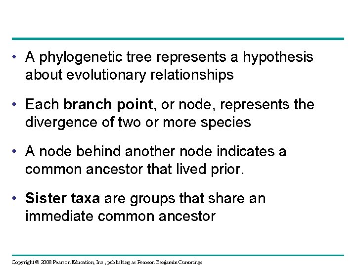  • A phylogenetic tree represents a hypothesis about evolutionary relationships • Each branch