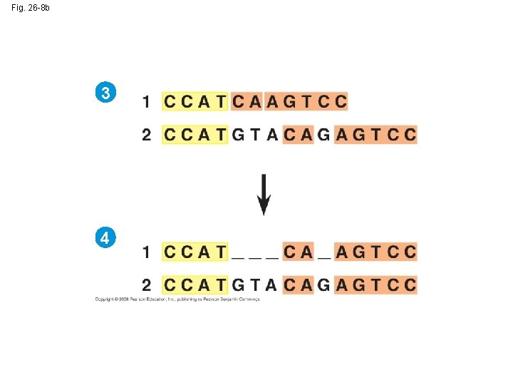 Fig. 26 -8 b 3 4 