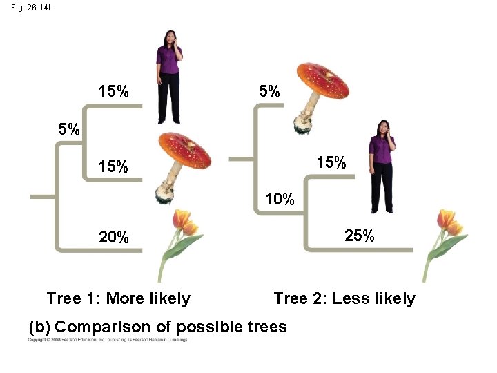 Fig. 26 -14 b 15% 5% 5% 15% 10% 25% 20% Tree 1: More