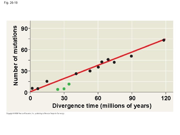 Number of mutations Fig. 26 -19 90 60 30 0 0 30 60 90