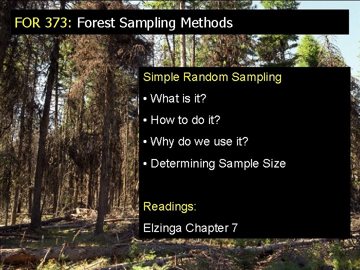 FOR 373: Forest Sampling Methods Simple Random Sampling • What is it? • How