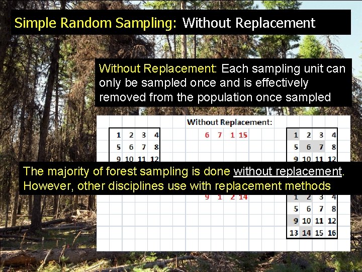 Simple Random Sampling: Without Replacement: Each sampling unit can only be sampled once and