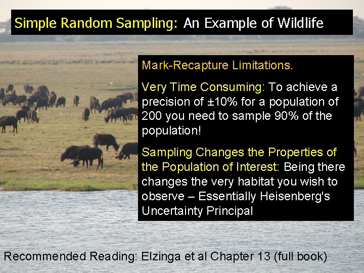 Simple Random Sampling: An Example of Wildlife Mark-Recapture Limitations. Very Time Consuming: To achieve
