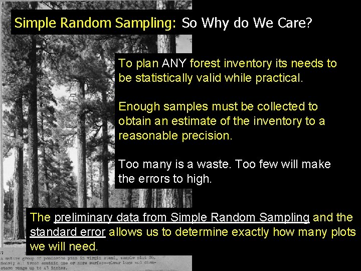 Simple Random Sampling: So Why do We Care? To plan ANY forest inventory its