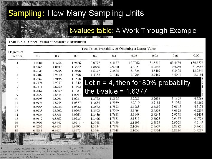 Sampling: How Many Sampling Units t-values table: A Work Through Example Let n =