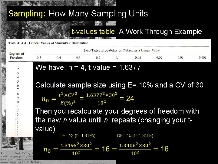 Sampling: How Many Sampling Units t-values table: A Work Through Example We have: n