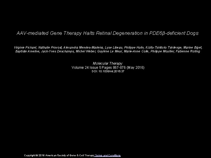 AAV-mediated Gene Therapy Halts Retinal Degeneration in PDE 6β-deficient Dogs Virginie Pichard, Nathalie Provost,