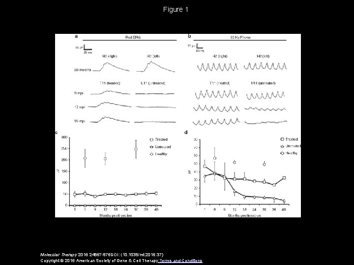 Figure 1 Molecular Therapy 2016 24867 -876 DOI: (10. 1038/mt. 2016. 37) Copyright ©