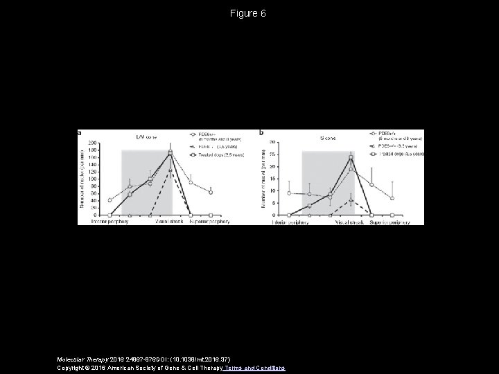 Figure 6 Molecular Therapy 2016 24867 -876 DOI: (10. 1038/mt. 2016. 37) Copyright ©