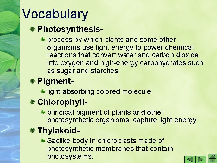 Vocabulary Photosynthesisprocess by which plants and some other organisms use light energy to power Vocabulary Photosynthesisprocess by which plants and some other organisms use light energy to power