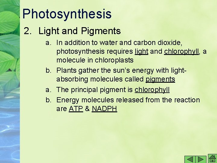 Photosynthesis 2. Light and Pigments a. In addition to water and carbon dioxide, photosynthesis Photosynthesis 2. Light and Pigments a. In addition to water and carbon dioxide, photosynthesis