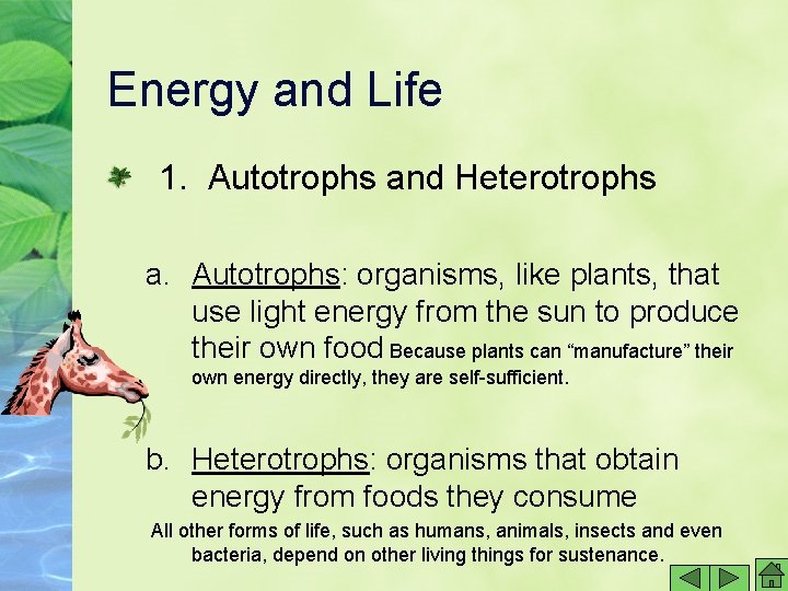 Energy and Life 1. Autotrophs and Heterotrophs a. Autotrophs: organisms, like plants, that use Energy and Life 1. Autotrophs and Heterotrophs a. Autotrophs: organisms, like plants, that use