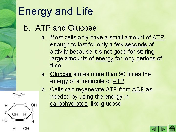 Energy and Life b. ATP and Glucose a. Most cells only have a small Energy and Life b. ATP and Glucose a. Most cells only have a small
