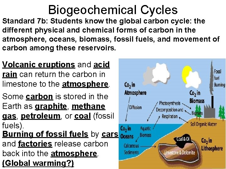 Biogeochemical Cycles Standard 7 b: Students know the global carbon cycle: the different physical