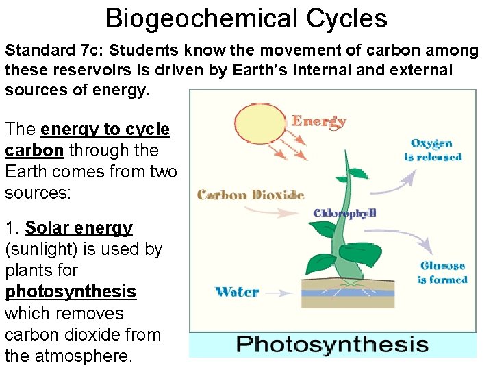 Biogeochemical Cycles Standard 7 c: Students know the movement of carbon among these reservoirs