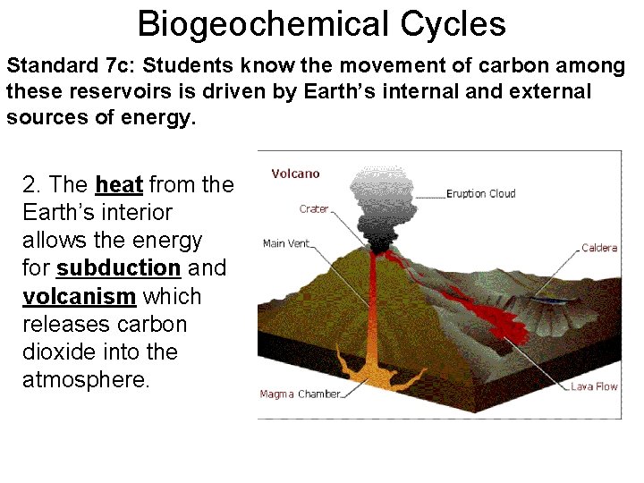 Biogeochemical Cycles Standard 7 c: Students know the movement of carbon among these reservoirs