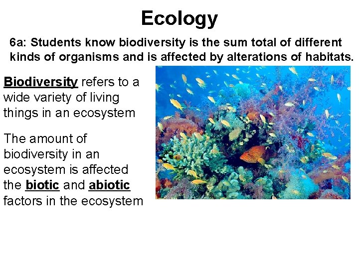 Ecology 6 a: Students know biodiversity is the sum total of different kinds of