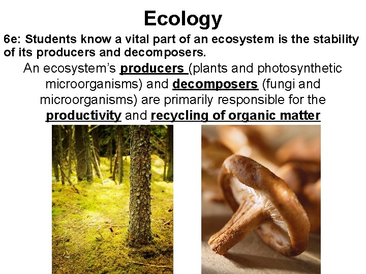 Ecology 6 e: Students know a vital part of an ecosystem is the stability