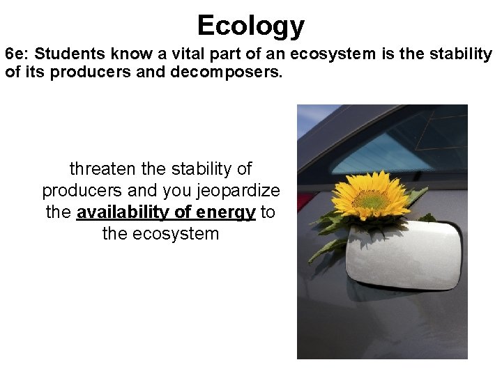 Ecology 6 e: Students know a vital part of an ecosystem is the stability