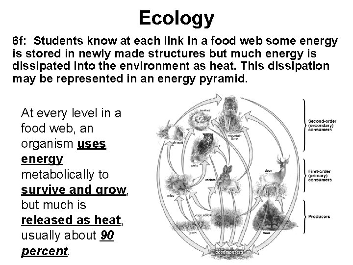 Ecology 6 f: Students know at each link in a food web some energy