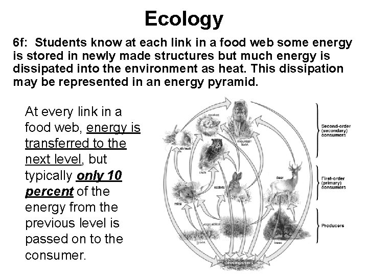 Ecology 6 f: Students know at each link in a food web some energy