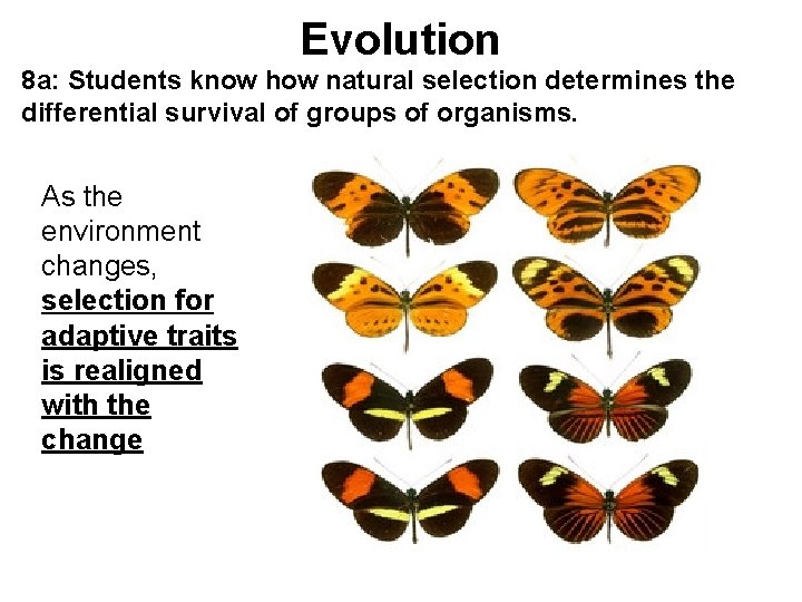Evolution 8 a: Students know how natural selection determines the differential survival of groups