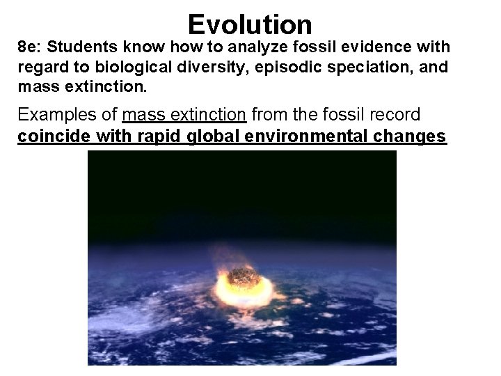 Evolution 8 e: Students know how to analyze fossil evidence with regard to biological