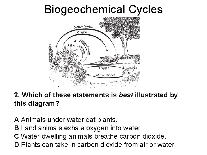 Biogeochemical Cycles 2. Which of these statements is best illustrated by this diagram? A