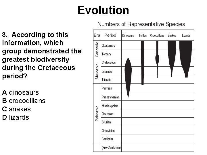 Evolution 3. According to this information, which group demonstrated the greatest biodiversity during the