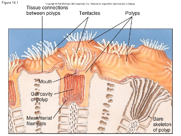 Figure 14. 1 