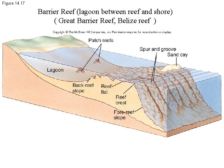 Figure 14. 17 Barrier Reef (lagoon between reef and shore) ( Great Barrier Reef,
