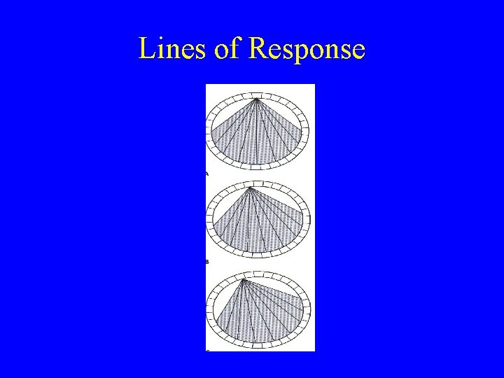 Lines of Response 