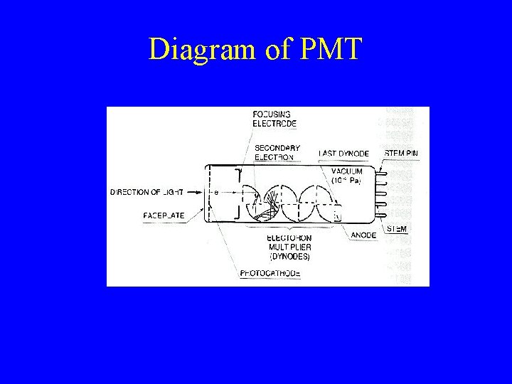 Diagram of PMT 