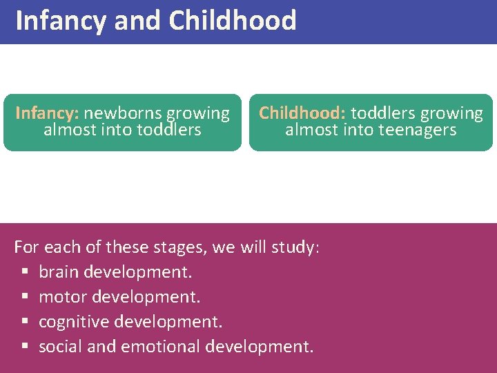 Infancy and Childhood Infancy: newborns growing almost into toddlers Childhood: toddlers growing almost into