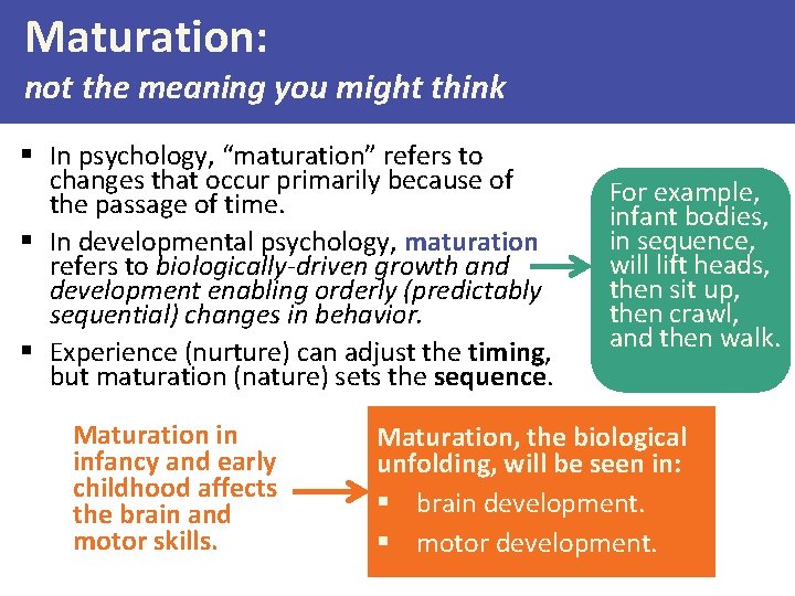 Maturation: not the meaning you might think § In psychology, “maturation” refers to changes