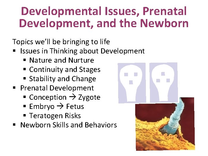 Developmental Issues, Prenatal Development, and the Newborn Topics we’ll be bringing to life §