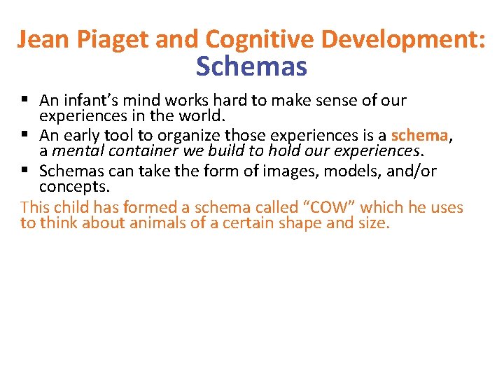 Jean Piaget and Cognitive Development: Schemas § An infant’s mind works hard to make